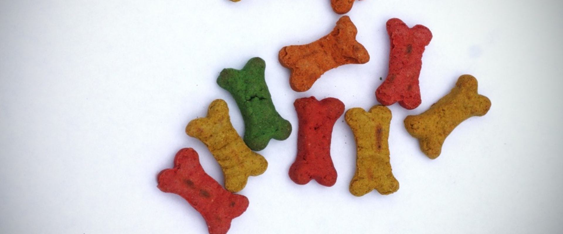 What jerky treats are bad for dogs?